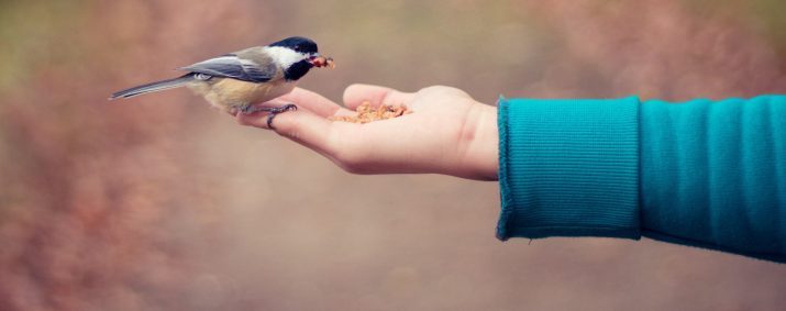 B2B lead nurturing for dummies