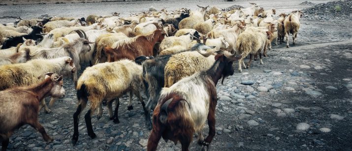 5 step guide to convert social media followers into qualified leads