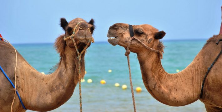 Social media is about creating dialogues NOT monologues