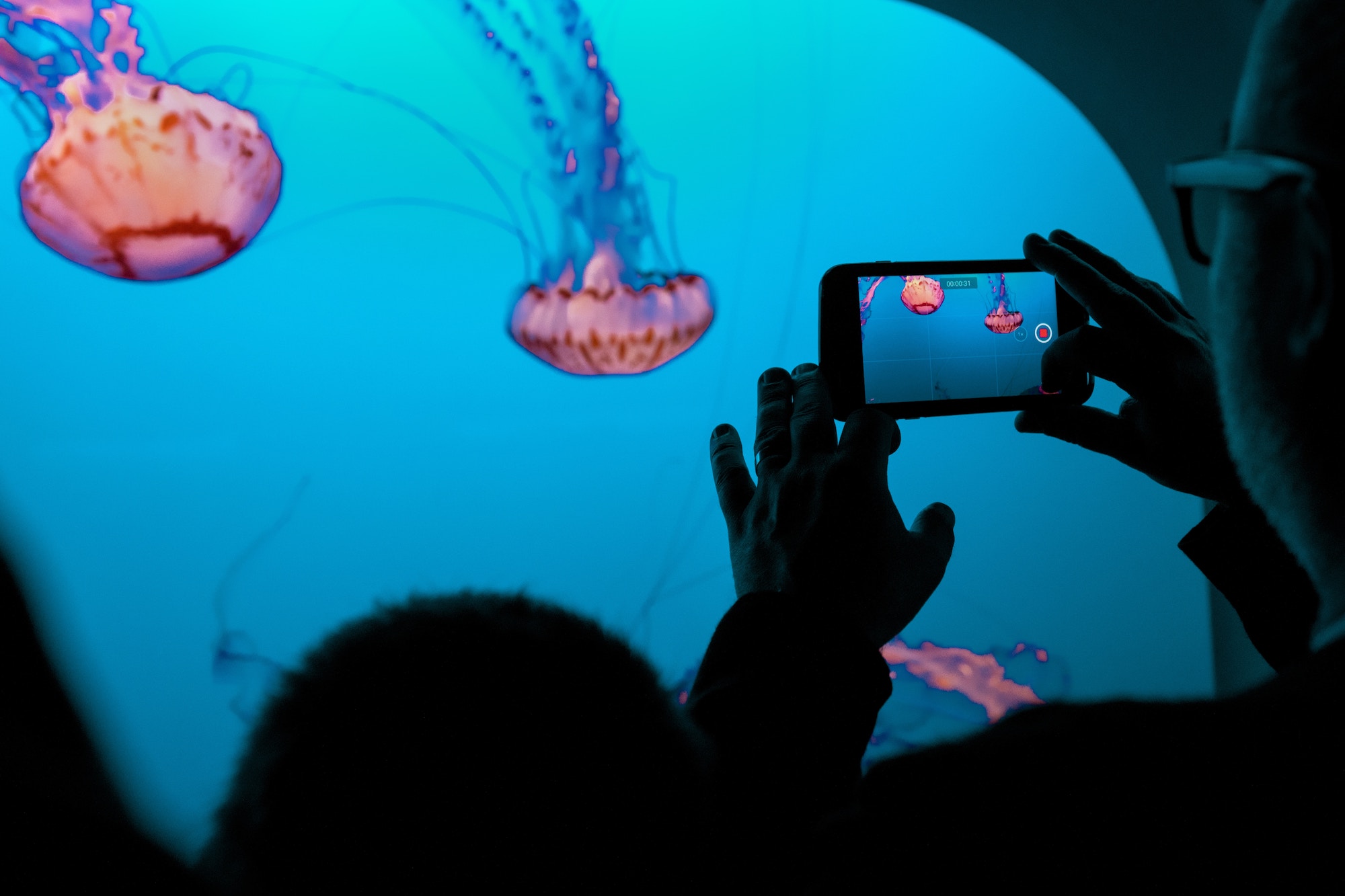How to optimize videos across every social network