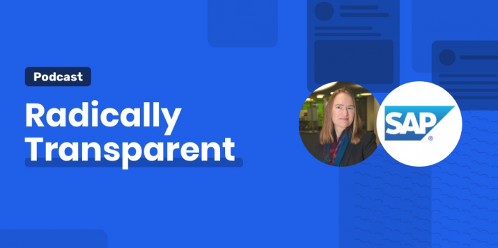 Blog about Malin Liden on effective digital transformation