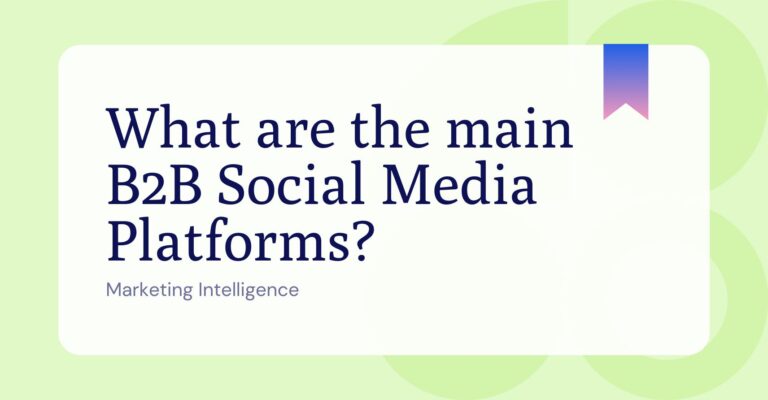 What are the main B2B Social Media Platforms?
