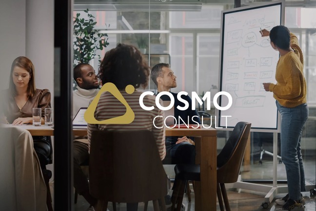 Cosmo Consult case study