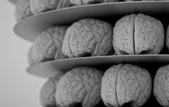 CMO 2.0 – Making IT decisions with a marketing brain visual guide