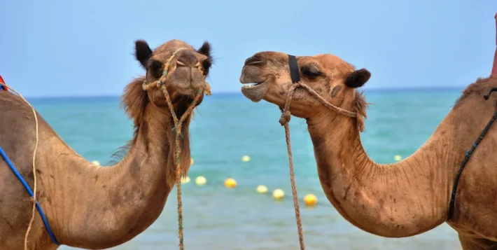 Social media is about creating dialogues NOT monologues visual guide