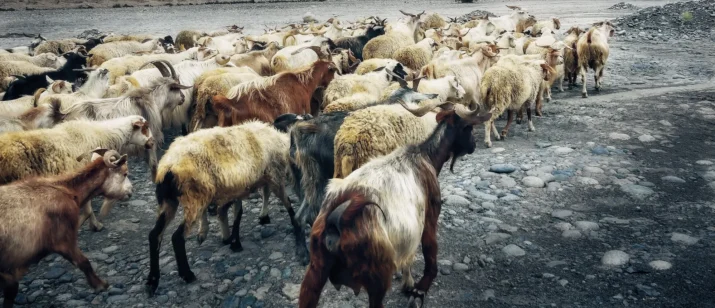 5 step guide to convert social media followers into qualified leads visual guide